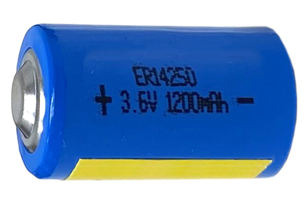 48 x  Blue Sleeve ER14250 (LS14250) 1/2 AA 3.6 Volt Primary Lithium Battery (1200 mAh)