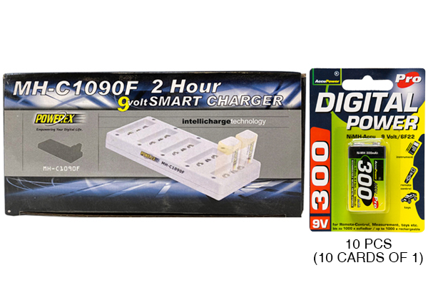 10 Bay 9 Volt Charger + 10 x 9 Volt AccuPower NiMH Batteries (300 mAh)