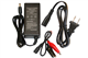 9.6 Volt LiFePO4 Battery Pack (0.7A) Smart Charger