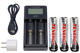 2-Slot Fast Battery Charger + 3 x Tenergy 18650 3.6v 2600 mAh li-ion w/ PCB